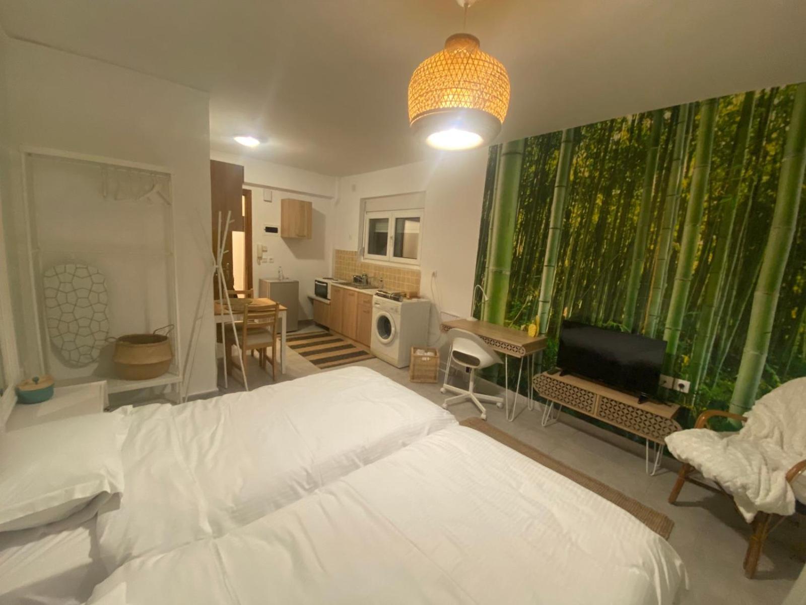 Snd Rentals- Studios 科扎尼 外观 照片